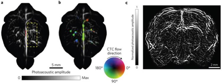 Theranostics Image