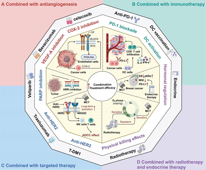 Theranostics Image