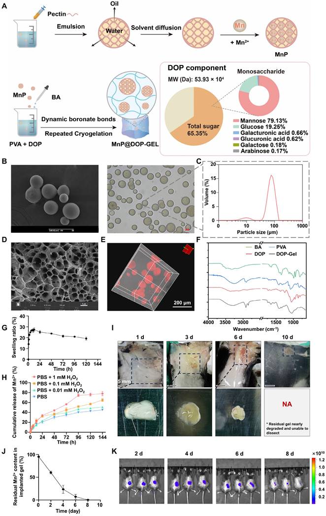 Theranostics Image