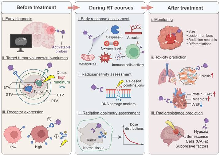 Theranostics Image