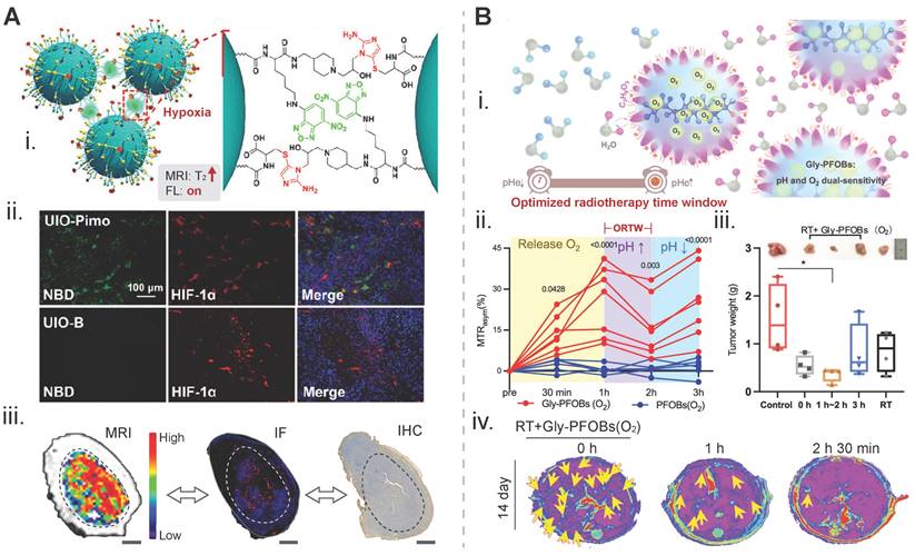 Theranostics Image