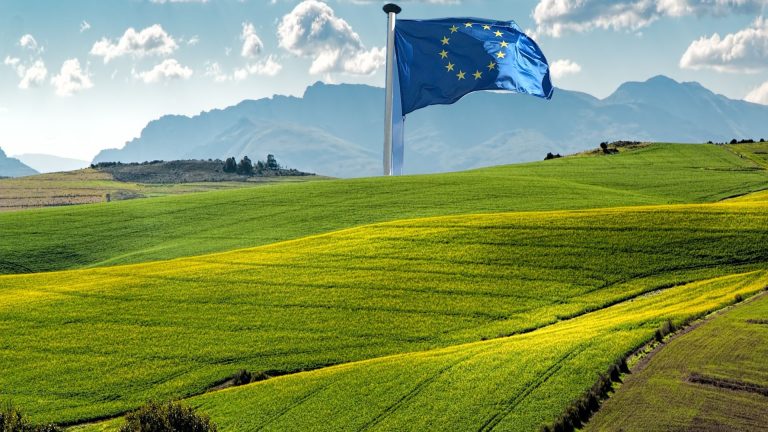 European Union in the Context of the Current Model of Production and Consumption: Food Self-Sufficiency from a Photosynthetic Energy Perspective