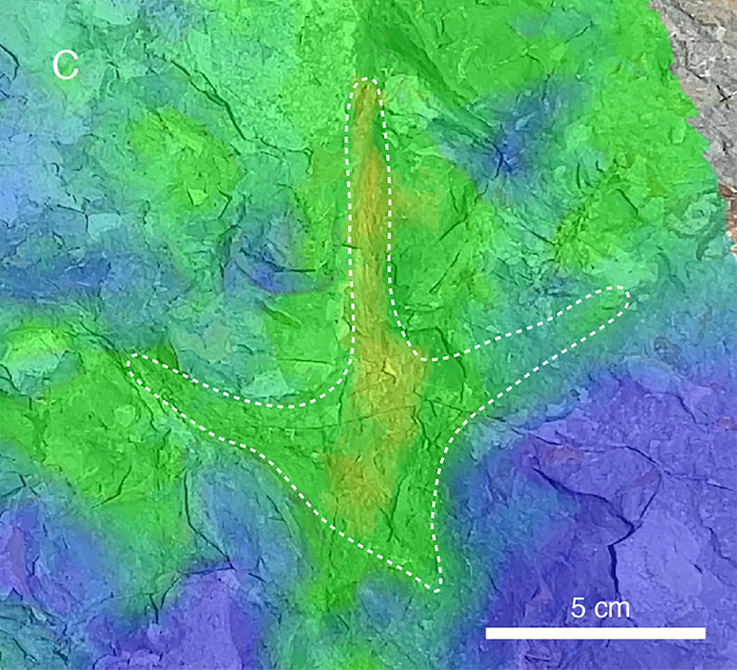 Heat map of fossil footprint