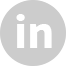 LinkedIn Logo Icon