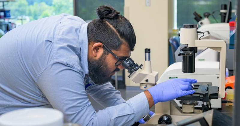 UD junior Atif Bacchus examines breast cancer cells in the lab at Helen F. Graham Cancer and Research Center.