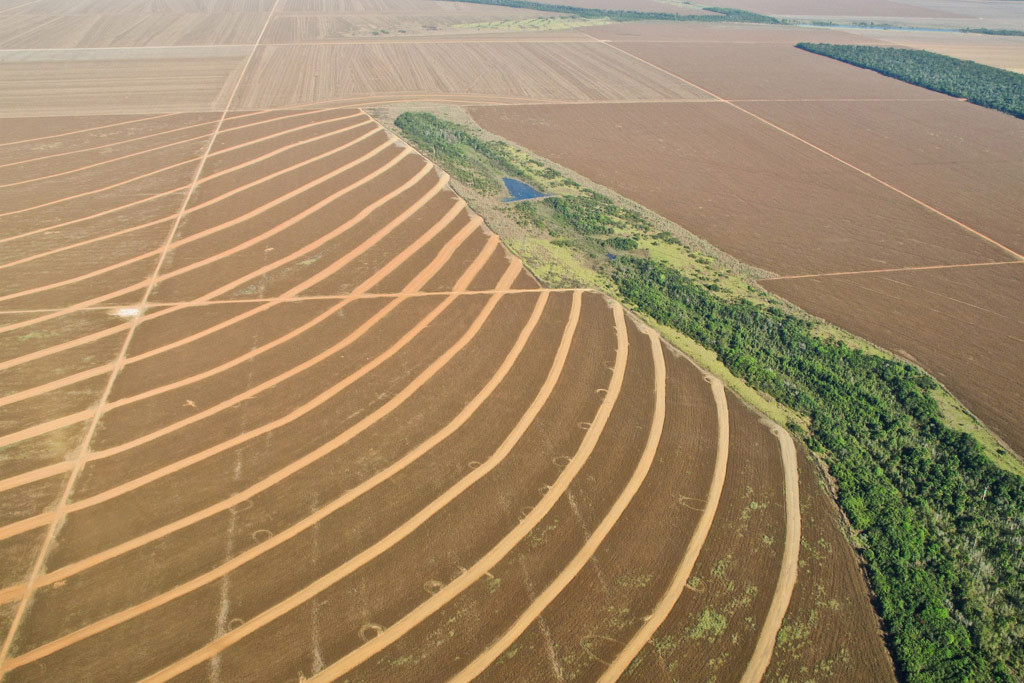 sugar cane and soybean plantations