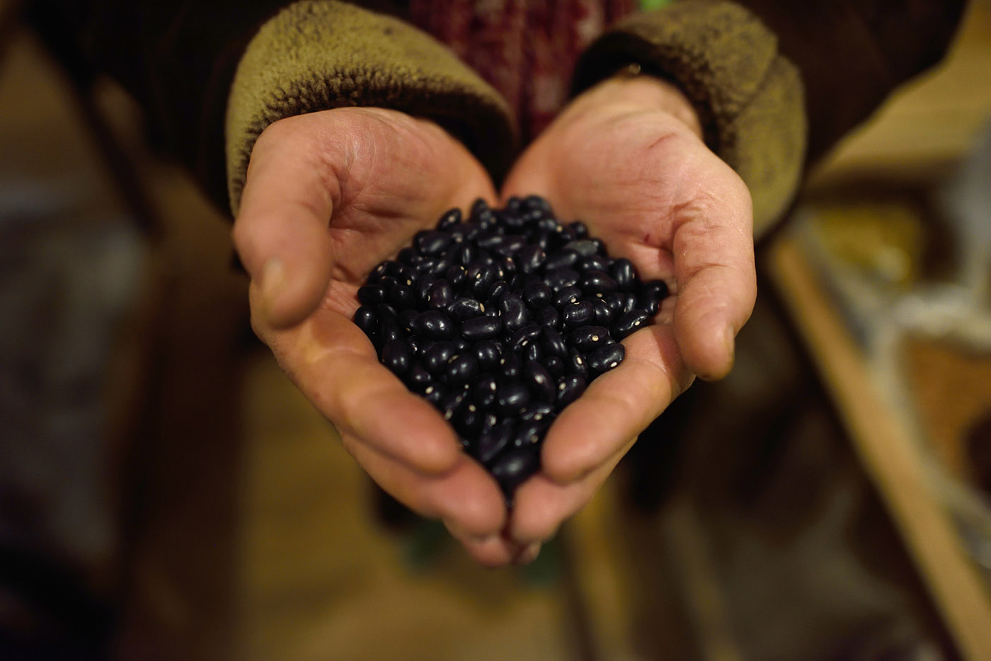 hands holding black beans