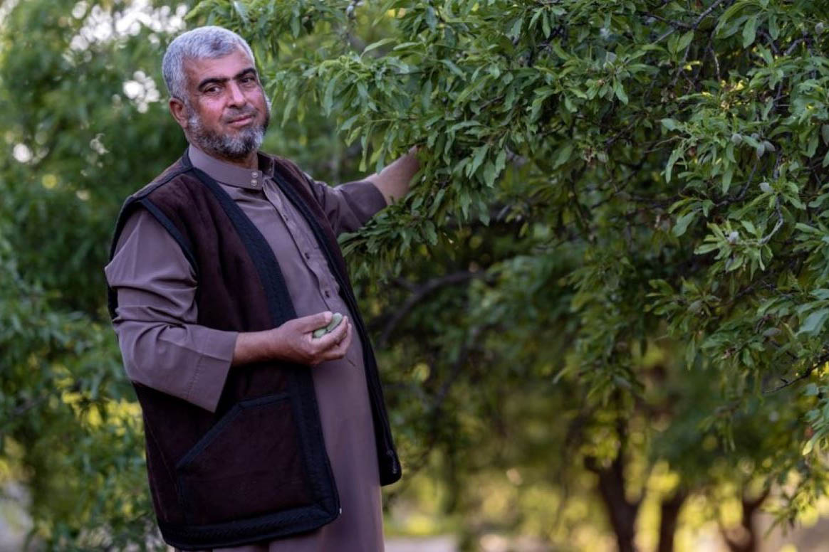 A farmer holding a fruit tree