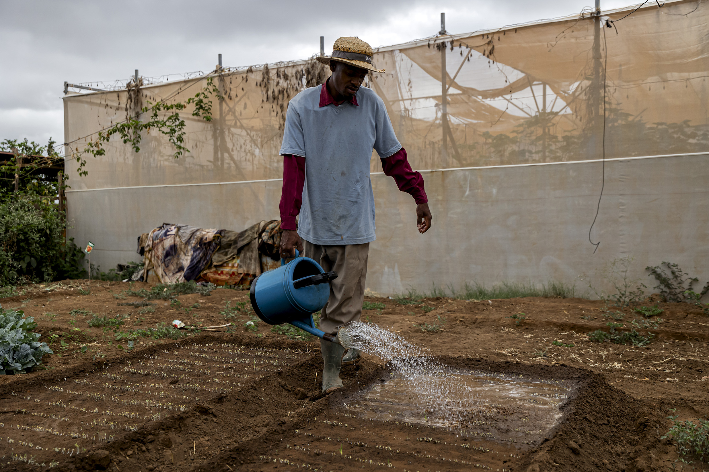 man watering plants