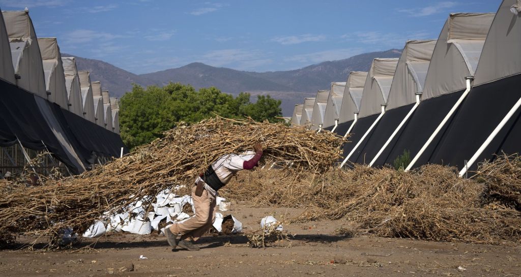 A new report from the International Labour Organization (ILO), Heat at work: Implications for safety and health, warns that more workers are being exposed to heat stress worldwide. The new data reveals that regions previously unaccustomed to extreme heat will face increased risks, while workers in already hot climates will confront ever more dangerous conditions..