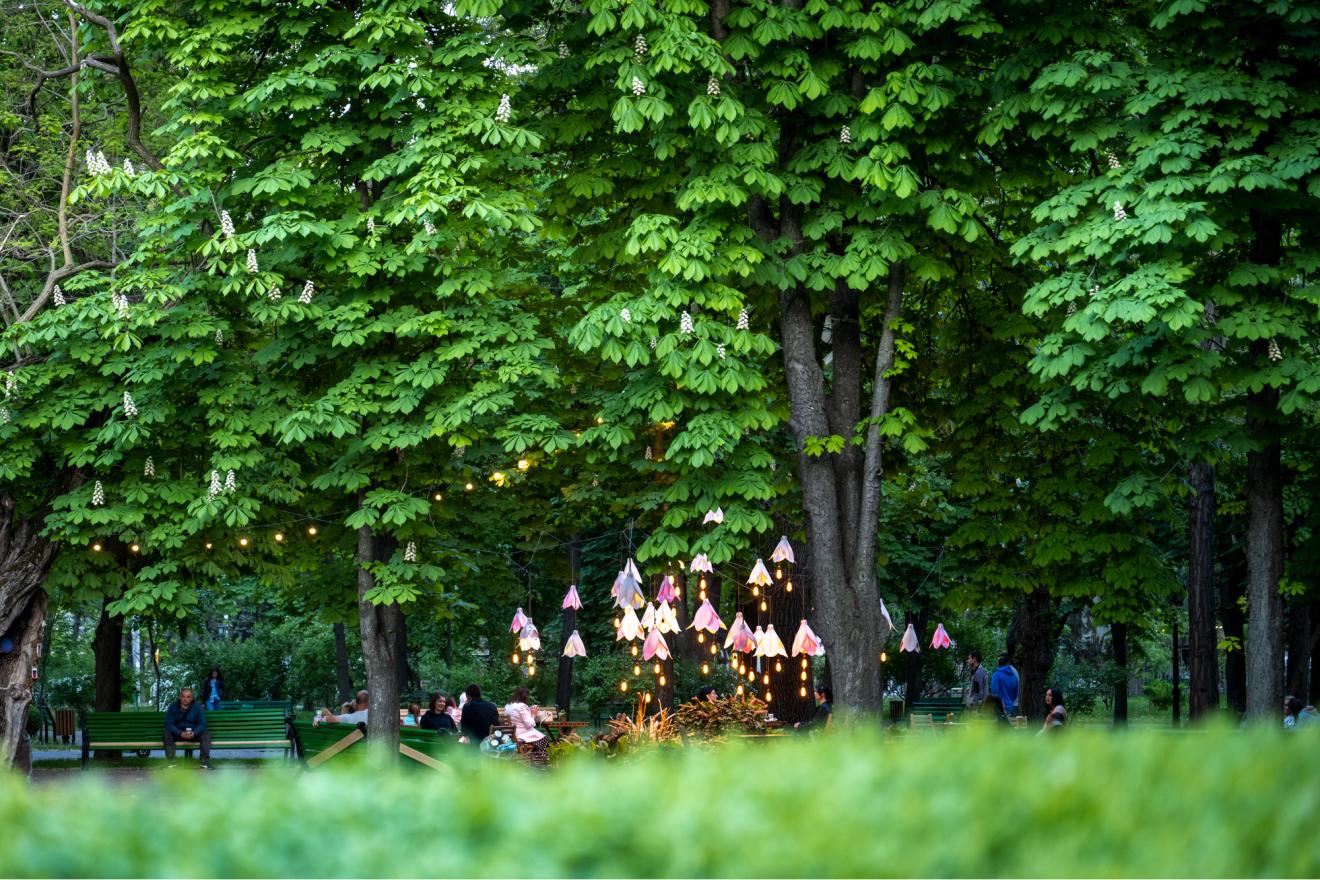 Un parc verdoyant avec des arbres et des gens assis sur des bancs.