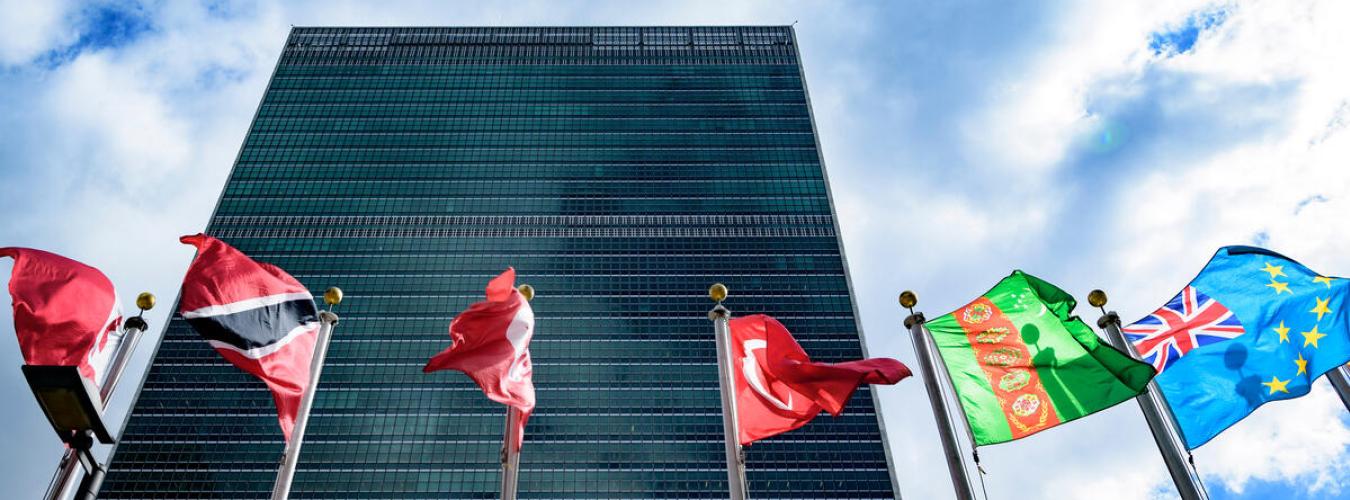 A view of the UN Secretariat building with flags of UN Member States flying in the foreground.