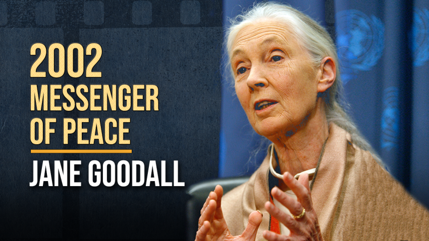 Jane Goodall: Messenger of Peace