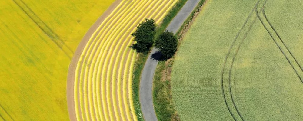 Visuel Paysans du ciel à la terre