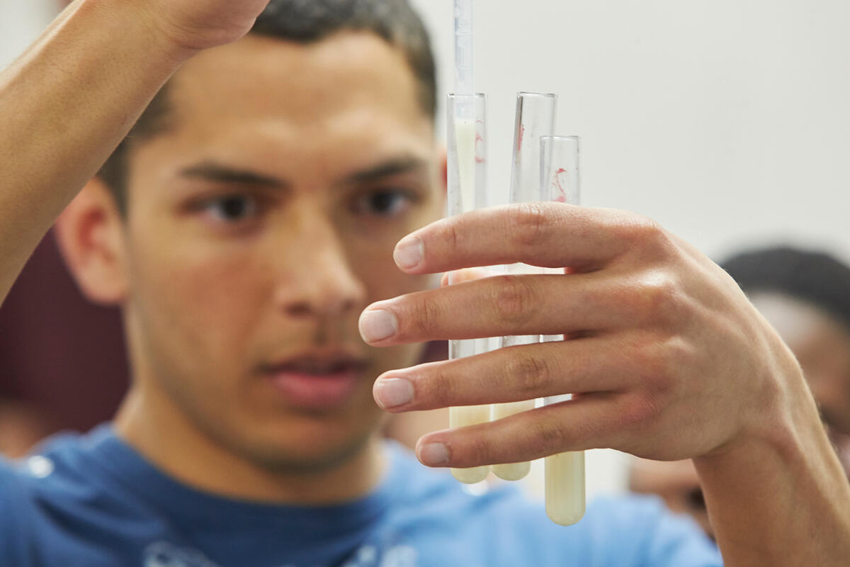 Student holding test tubes and examining their content