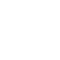 Globe icon