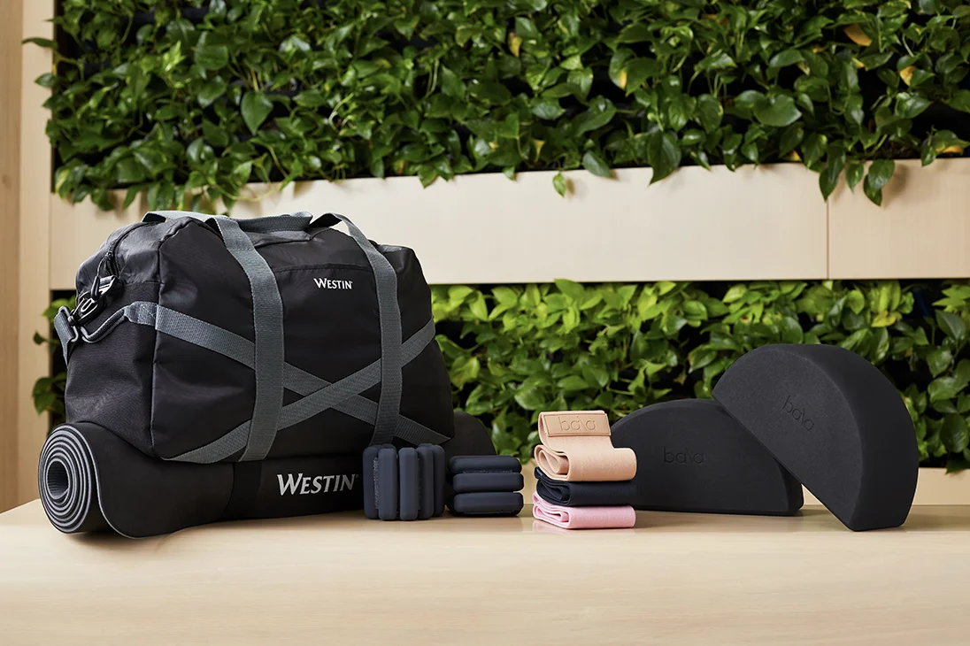 Westin Gear Lending Kit by Bala