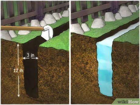 Step 7 Use a sewage-based fertilizer.