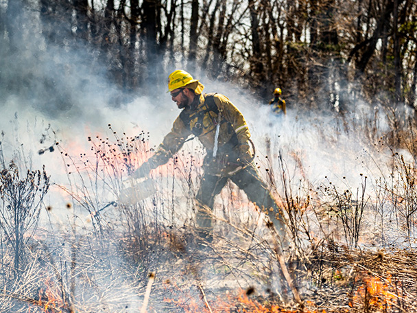 A man wearing protective fire gear torches a field of brush and wildflowers.