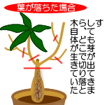 切り戻し