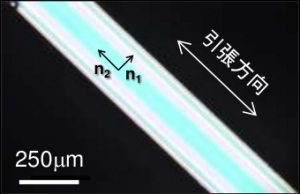 今回の研究で開発された異方性Li0.25Na0.25K0.25Cs0.25PO3ガラスの偏光顕微鏡写真（東京工業大学の発表資料より）