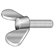 ZORO SELECT Thumb Screw, M8-1.25 Thread Size, Rounded Wing, Plain 18-8 Stainless Steel, 14 4/5 mm Head Ht WS6X08020-001P1