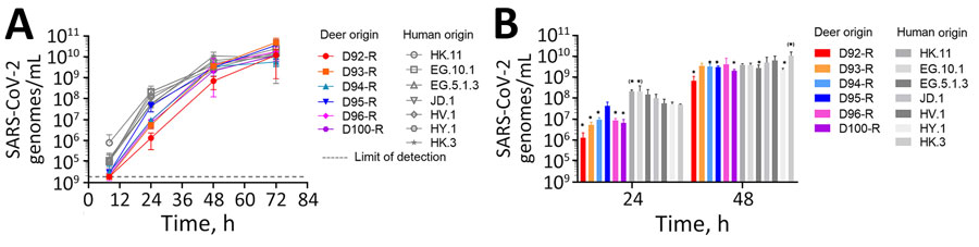 Multistep growth characteristics of contemporaneous strains isolated from captive white-tailed deer and humans in study of respiratory shedding of infectious SARS-CoV-2 Omicron XBB 1.41.1 lineage among captive white-tailed deer, Texas, USA, November 2023. A) Vero E6-TMPRSS2-T2A-ACE2 cells were inoculated with SARS-CoV-2 recovered from deer (D92-R to D100-R) or from human clinical nasopharyngeal samples (EG.10.1, EG.5.1.3, HK.11, JD.1, HV.1, HY.1, HK.3) at a multiplicity of infection of 0.002. Samples of the supernatant were collected and titrated by 1-step quantitative PCR. Lower limit of detection is indicated. B) Averaged data for the 24-hour and 48-hour timepoints. Statistically significant differences after 1-way analysis of variance with Tukey correction are indicated by asterisks for values significantly lower than aggregated human samples and asterisks in parentheses for values significantly higher than aggregated human samples. Error bars indicate SDs calculated from 3 replicates. We added “-R” to the name of each animal identification number to indicate that samples used in these experiments were recovered from the initial virus isolation step.