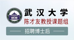 武汉大学