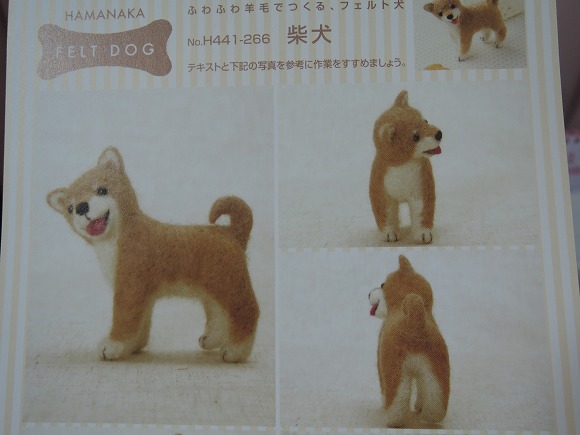 shiba4