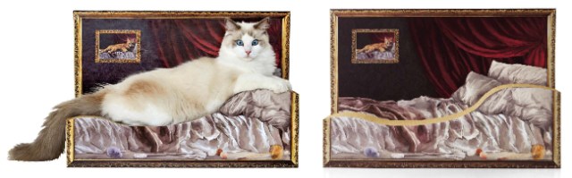 フェリシモ猫部「裸婦画風つめとぎ」が最高すぎる…😻愛猫が美しいアートの一部になれます