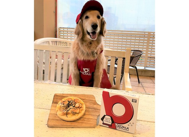 愛犬にも、ピザーラお届け🍕ワンちゃん専用ピザ「わんこピザ テリヤキチキン」が全国展開へ！