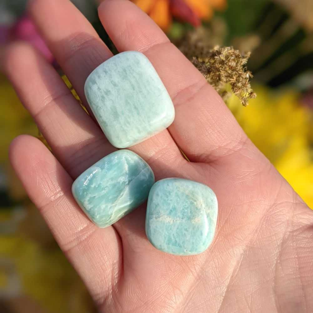 Amazonite Tumbles - Zen Collection