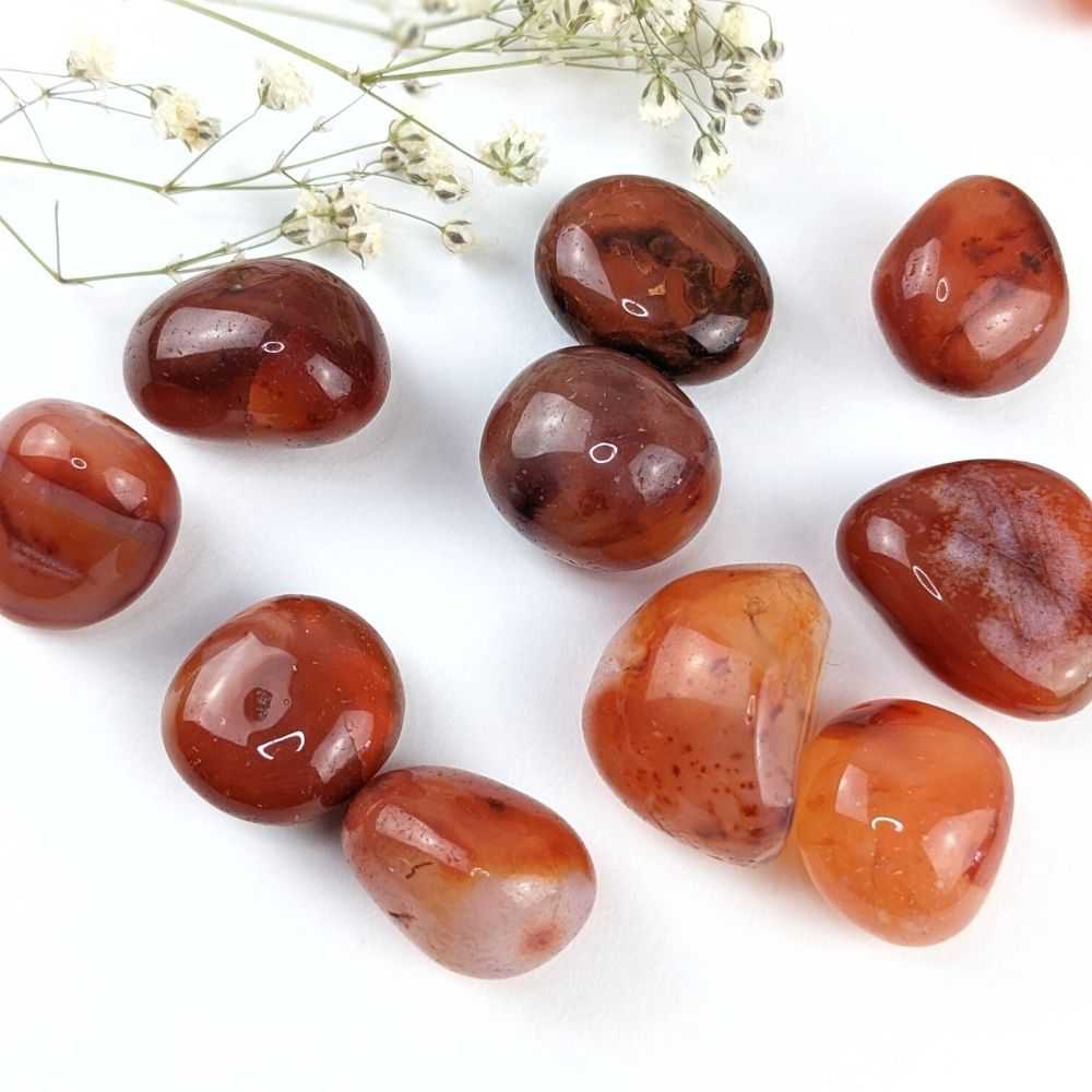 Carnelian Tumbles - Zen Collection