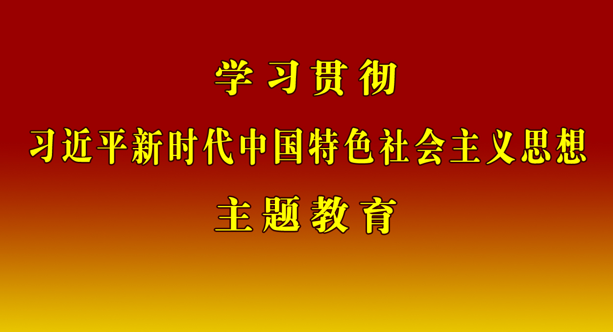 学习贯彻习近平新时代中国特色社会主义思想主题教育