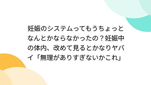 妊娠のシステムってもうちょっとなんとかならなかったの？妊娠中の体内、改めて見るとかなりヤバイ「無理がありすぎないかこれ」