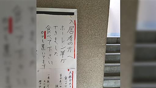 大家さんの優しい張り紙に思わず入居したくなるマンションが話題に「これは羨ましい」