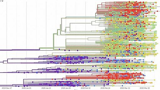 新型コロナの変異パターンは三つ「広東、日米豪」「武漢」「欧州」　ゲノム解析進む | 毎日新聞