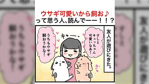 「お金かからなさそう」「鳴かないから静か」って本当？飼おうと思ってる人に読んでほしいウサギ飼いの現実