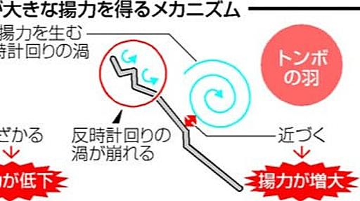 トンボは飛行機と違う仕組みで自在に飛行　羽の凹凸の秘密を広島大グループが解明 | 中国新聞デジタル