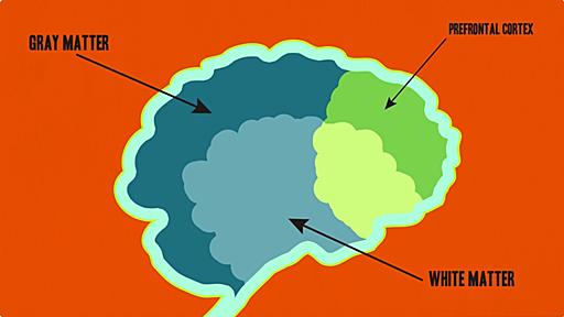 嘘をついている人の言葉に表れる3つの特徴 - ログミー