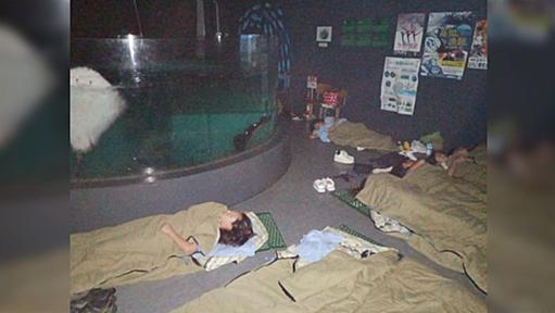 廃校水族館に泊まろう！という企画を開催したら『手拍子がうるさくて眠れない』との訴えがあり、現場に出向いてみたところ…