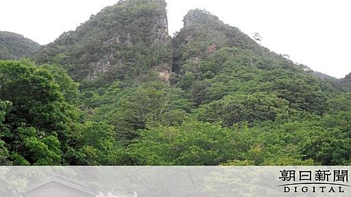 「世界最大」「世界で流通」は本当？　佐渡金山のPR、史実どこまで：朝日新聞デジタル