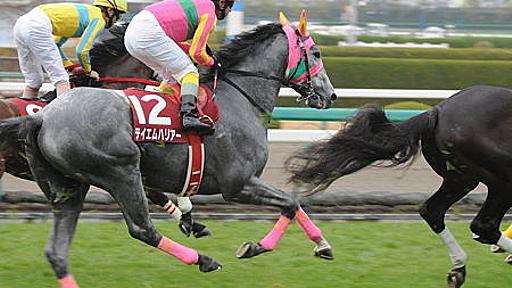 なんJ競馬を信じろ : なんJ（まとめては）いかんのか？