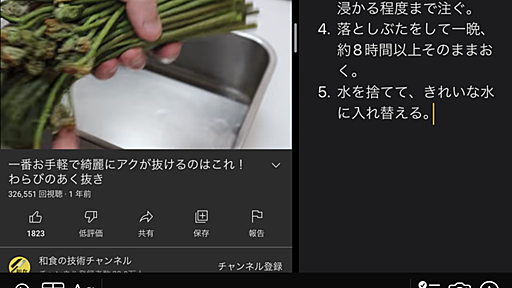  iPadの機能拡張 VinegarでYouTubeをPIPしながらワラビのアク抜きを学ぶ - T’s blog