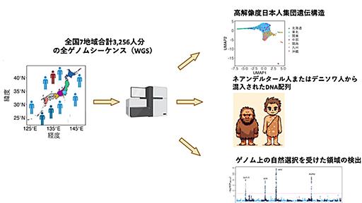 日本人祖先の「3系統説」、従来の定説に修正迫る ゲノム解析で進化人類学は「人類、日本人の本質」を探究 | Science Portal - 科学技術の最新情報サイト「サイエンスポータル」