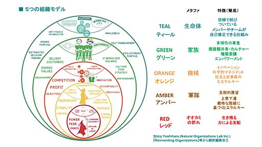 ティール組織とは？実務的視点から見る3要点と５過程