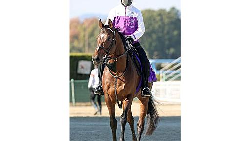 【有馬記念】ドウデュースが出走取消　右前肢ハ行のため　引退レース目前に　友道調教師「ファンの皆様に申し訳ないです」 | 競馬ニュース - netkeiba