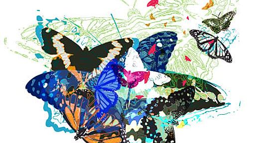 Random Free Vectors Part 5 - Butterflies | BittBox