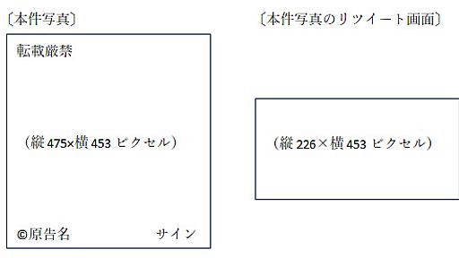 「RTによる画像トリミングで著作人格権侵害」　知財高裁判決の意味と影響　弁護士が解説