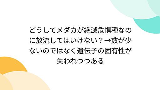 どうしてメダカが絶滅危惧種なのに放流してはいけない？→数が少ないのではなく遺伝子の固有性が失われつつある